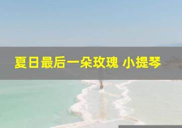 夏日最后一朵玫瑰 小提琴